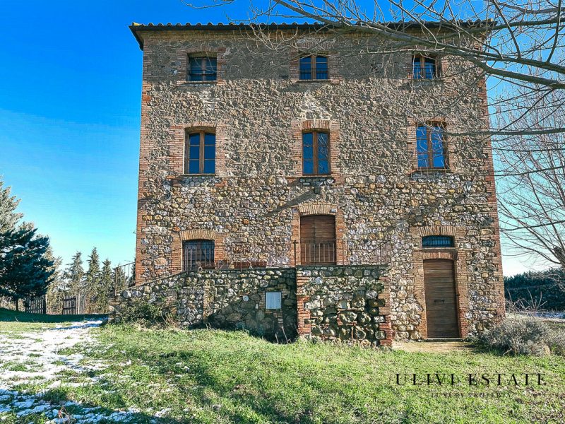 (Azienda agricola di 170 ettari – Allerona (TR), Venduto - immagine 16