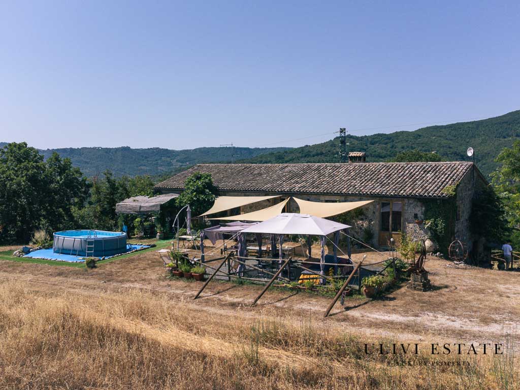 (Azienda agricola di 170 ettari – Allerona (TR), Venduto - immagine 6
