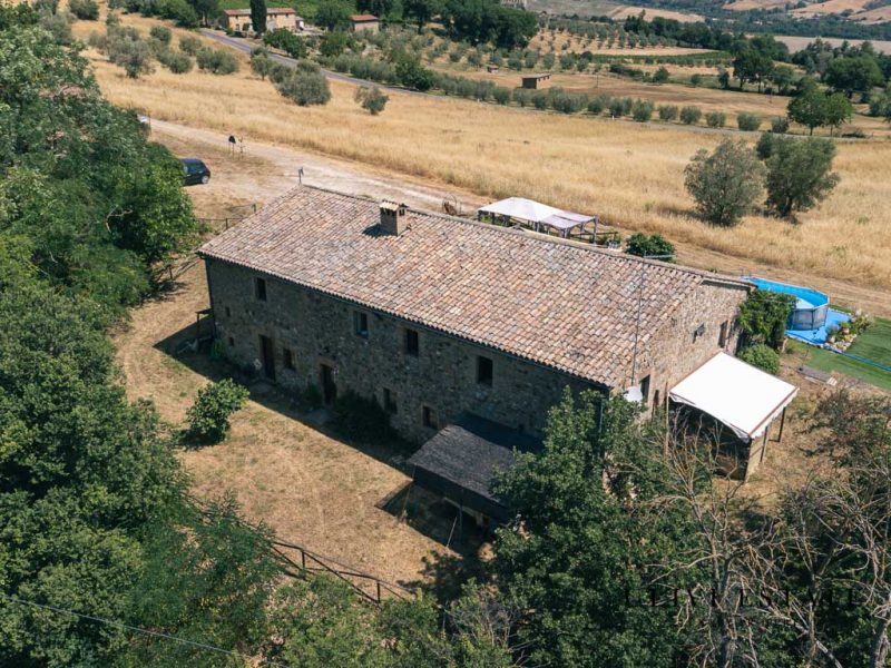 (Azienda agricola di 170 ettari – Allerona (TR), Venduto - immagine 8