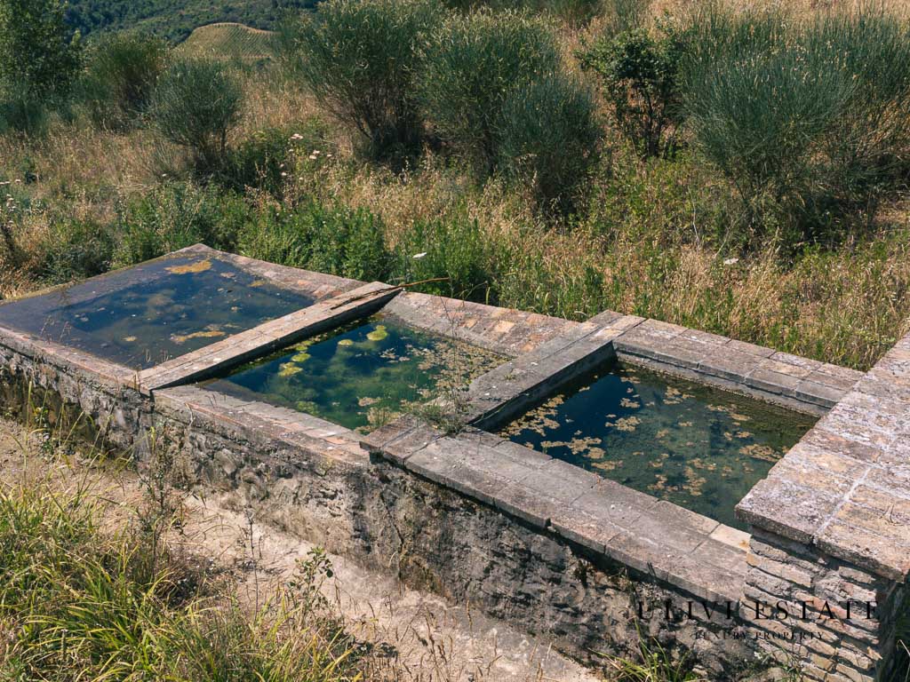 (Azienda agricola di 170 ettari – Allerona (TR), Venduto - immagine 17