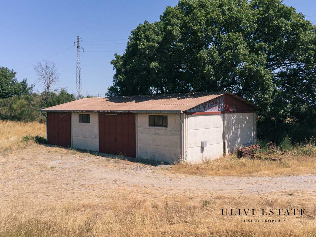 (Azienda agricola di 170 ettari – Allerona (TR), Venduto - immagine 5