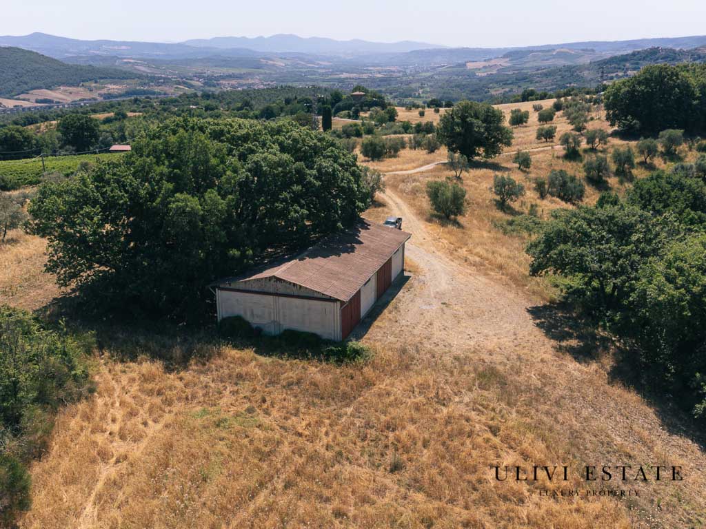 (Azienda agricola di 170 ettari – Allerona (TR), Venduto - immagine 4
