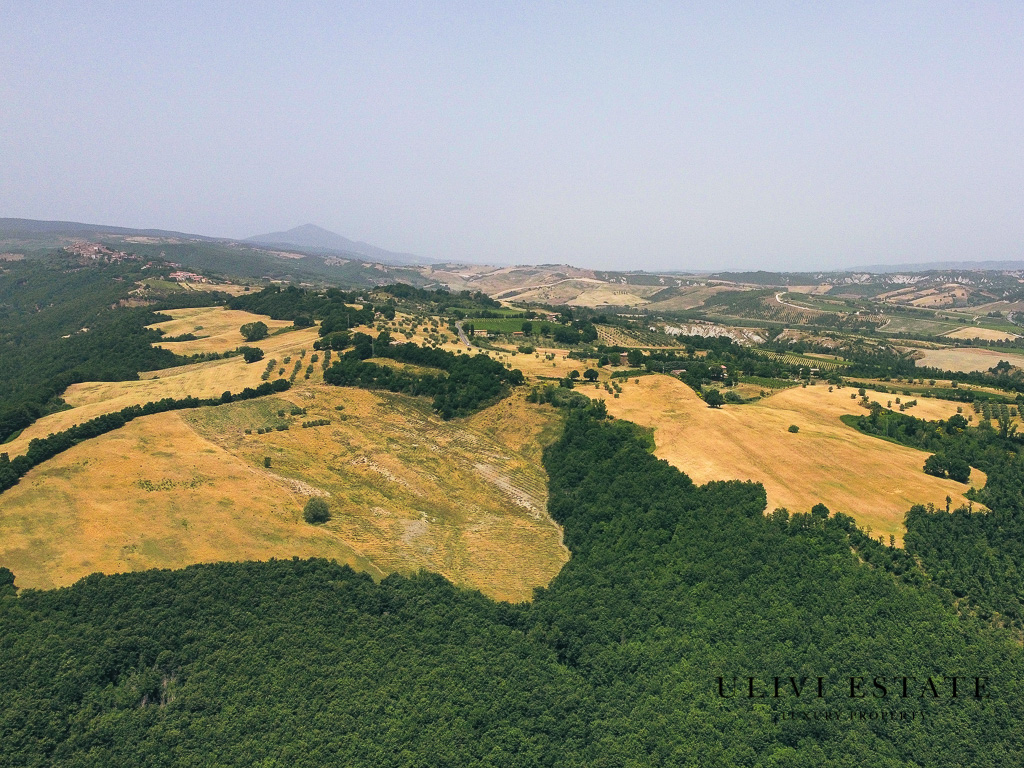 (Azienda agricola di 170 ettari – Allerona (TR), Venduto - immagine 18