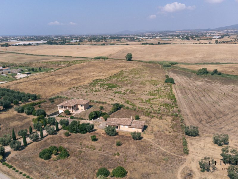 Villa mai abitata, a due passi dal mare e dalla Aurelia, con tre ettari
– Capalbio (GR), Venduto - immagine 25
