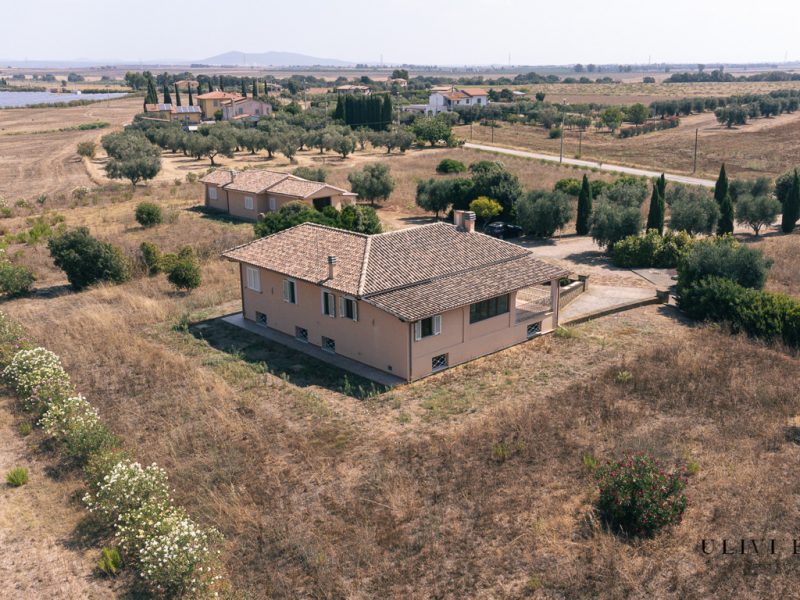 Villa mai abitata, a due passi dal mare e dalla Aurelia, con tre ettari
– Capalbio (GR), Venduto - immagine 4