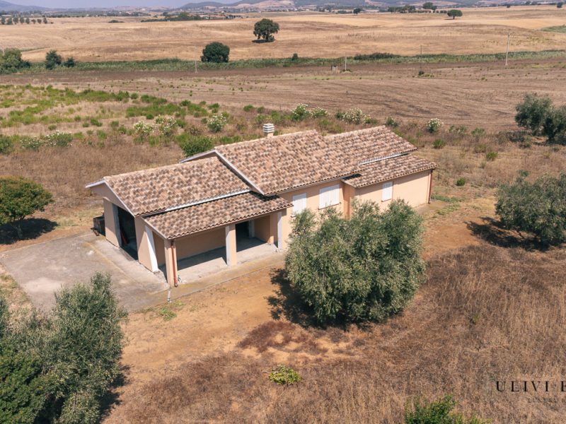 Villa mai abitata, a due passi dal mare e dalla Aurelia, con tre ettari
– Capalbio (GR), Venduto - immagine 20