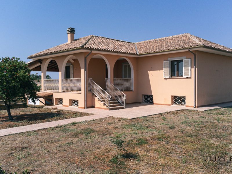 Villa mai abitata, a due passi dal mare e dalla Aurelia, con tre ettari
– Capalbio (GR), Venduto - immagine 7