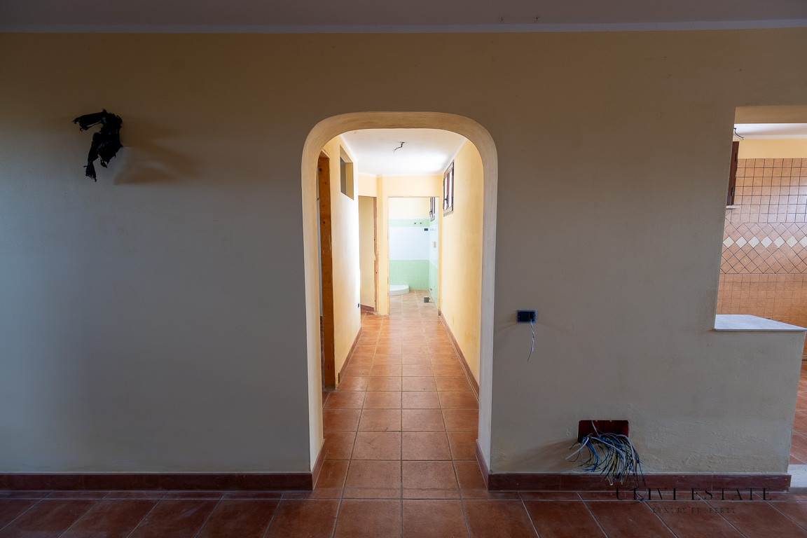 Villa mai abitata, a due passi dal mare e dalla Aurelia, con tre ettari
– Capalbio (GR), Venduto - immagine 16