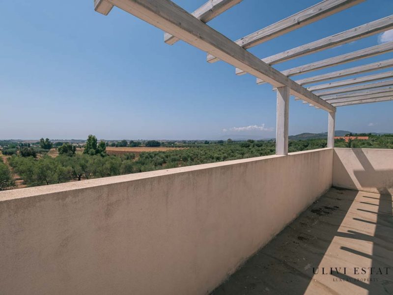 ;Elegante villa con uliveto da completare - Capalbio (GR) Venduto - immagine 13