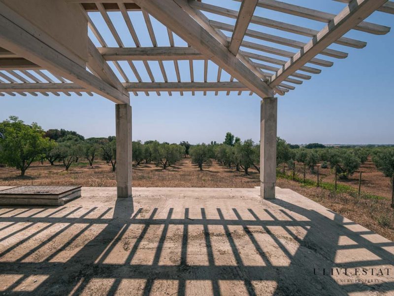 ;Elegante villa con uliveto da completare - Capalbio (GR) Venduto - immagine 6
