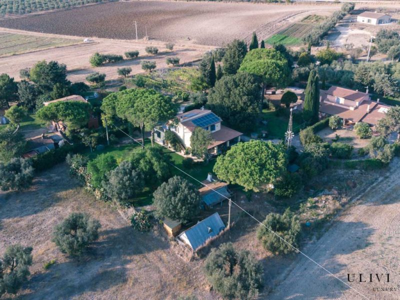Alternative view of 'Casale maremmano completamente ristrutturato con giardino a poca distanza dal mare in zona ormai residenziale - Pescia Romana (VT), Venduto