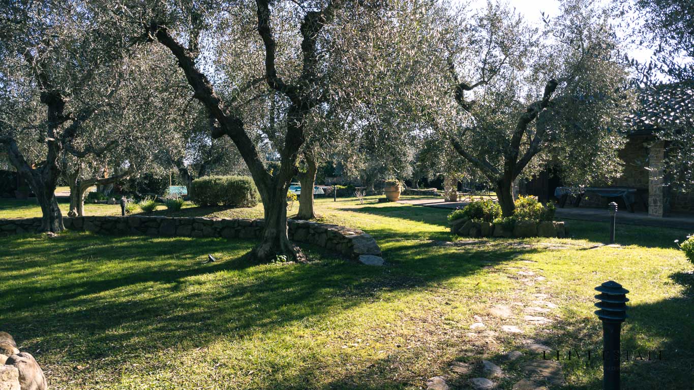 HORTVS GETHSEMANI: tipico casale toscano, a pochi passi dal mare, in perfette condizioni, con dependance e piscina ed un ettaro di uliveto secolare - Capalbio (GR), Venduto - immagine 12