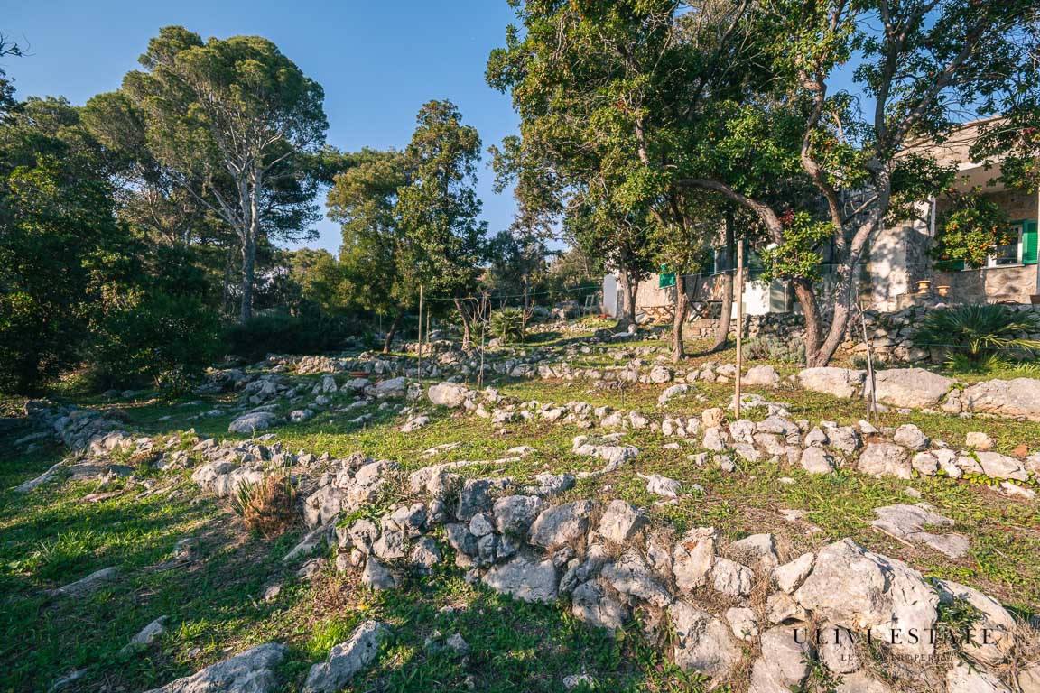 "La Luce del Mare", Villa davvero originale con tanta luce, vista mare e giardino - Ansedonia (GR), Venduto - immagine 37