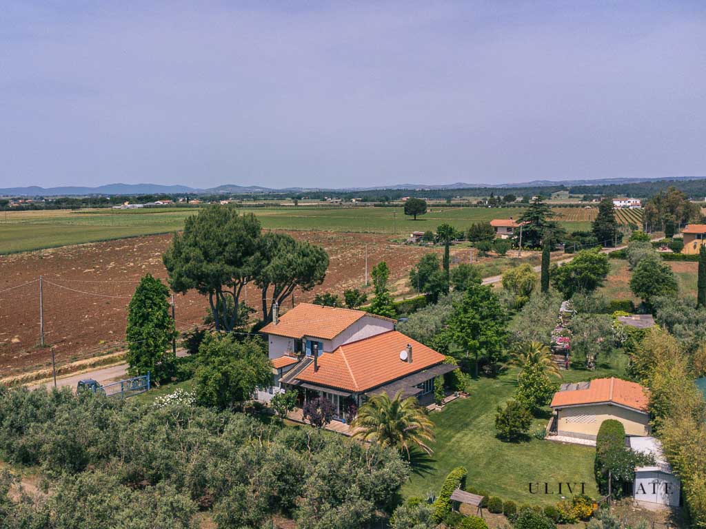 -Il sole della Maremma - Manciano (GR), Venduto - immagine 33