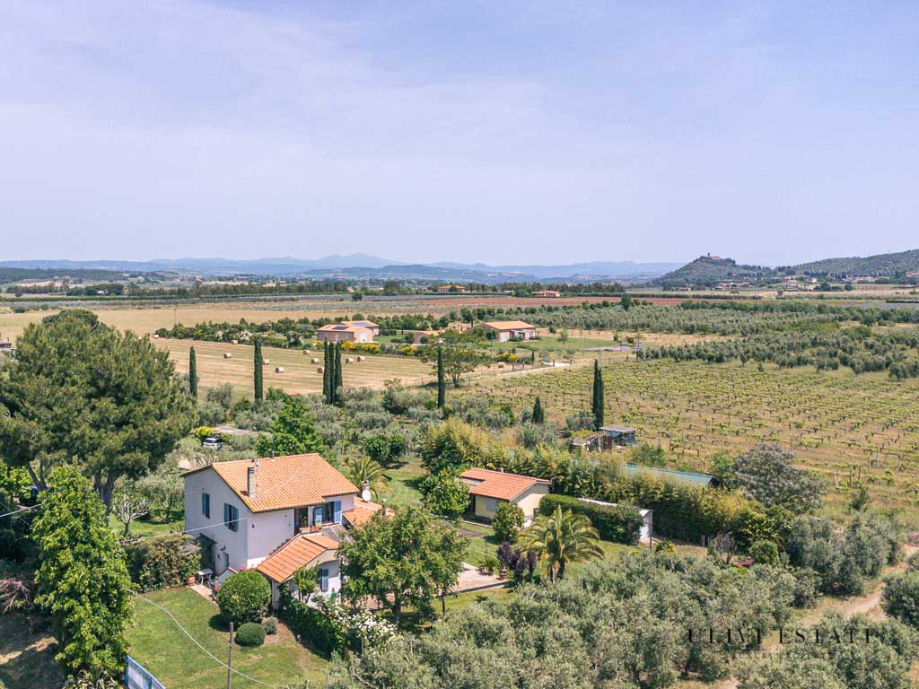 -Il sole della Maremma - Manciano (GR), Venduto - immagine 6