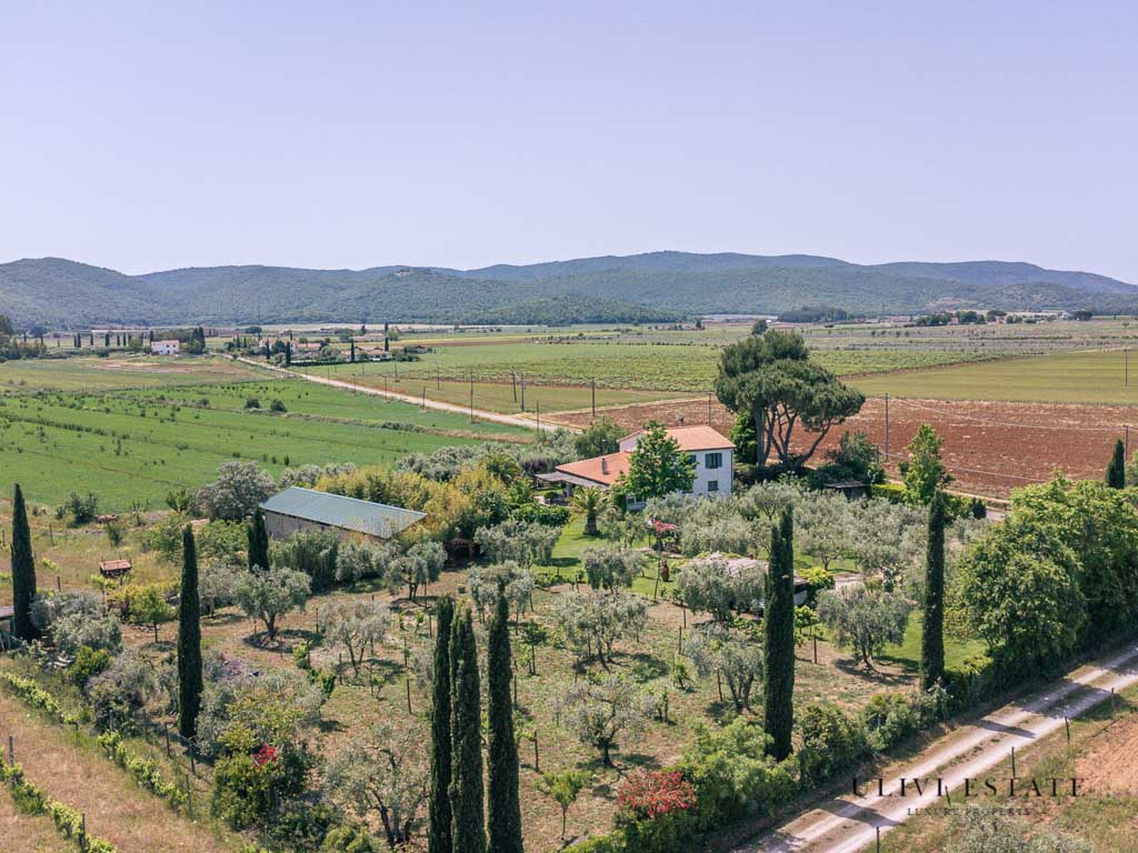 -Il sole della Maremma - Manciano (GR), Venduto - immagine 34